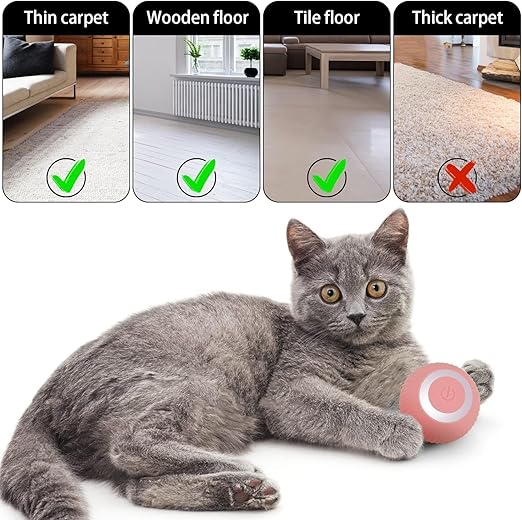 Cat Toy Ball Intelligent Funny Cat Ball 360 Degree (Pack of - 1) I kartnovastore.com