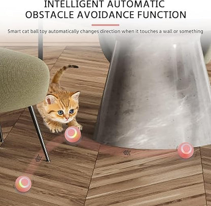 Cat Toy Ball Intelligent Funny Cat Ball 360 Degree (Pack of - 1) I kartnovastore.com
