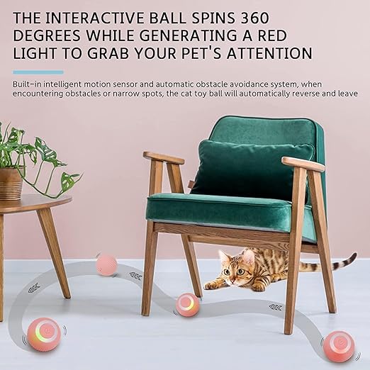 Cat Toy Ball Intelligent Funny Cat Ball 360 Degree (Pack of - 1) I kartnovastore.com