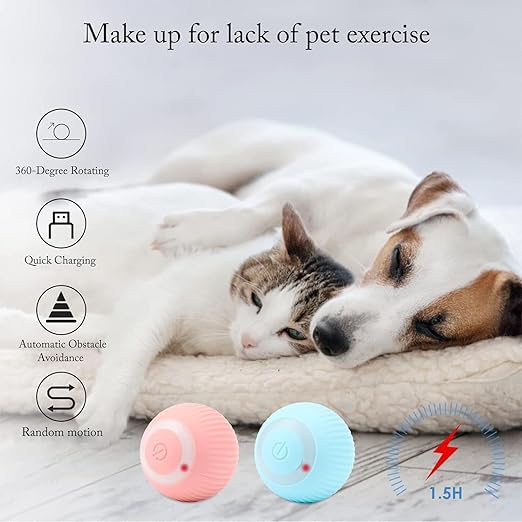 Cat Toy Ball Intelligent Funny Cat Ball 360 Degree (Pack of - 1) I kartnovastore.com