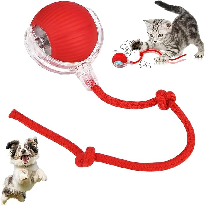 Cat Toy - Cat Toys for Indoor Cats Smart Chewy Viral Rolling Ball with Tail, Bird Sound, USB Rechargeable Automatic Rotating Ball  I kartnovastore.com